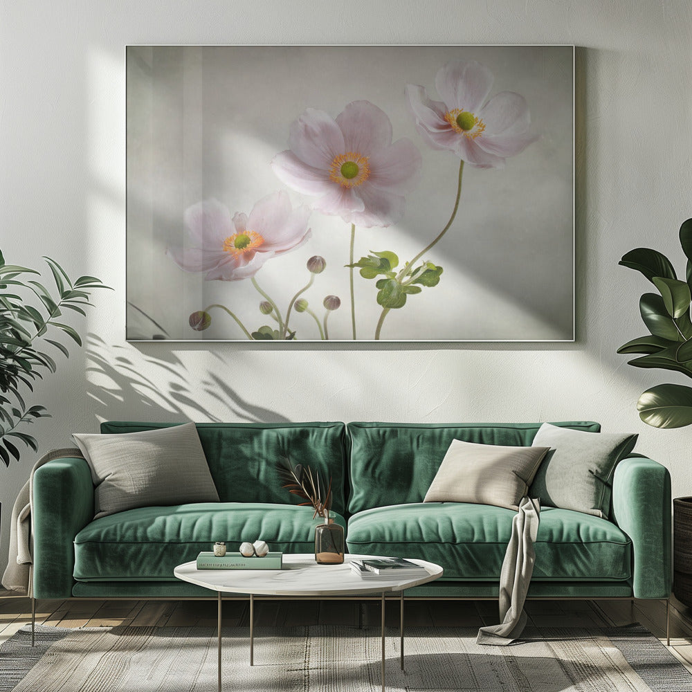 Anemonen | Leinwand