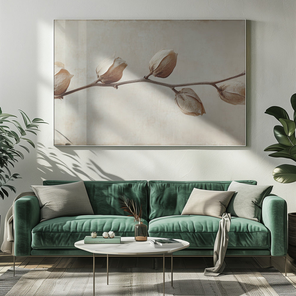 Verblasste Eleganz | Leinwand