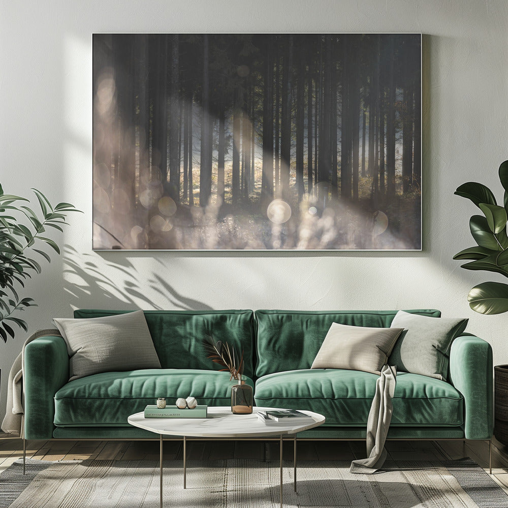 Waldglühen 1 | Leinwand