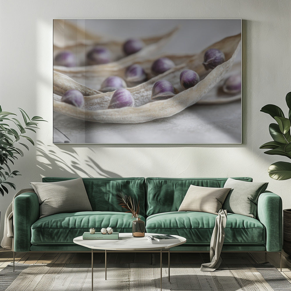 Lila Samensymphonie | Leinwand