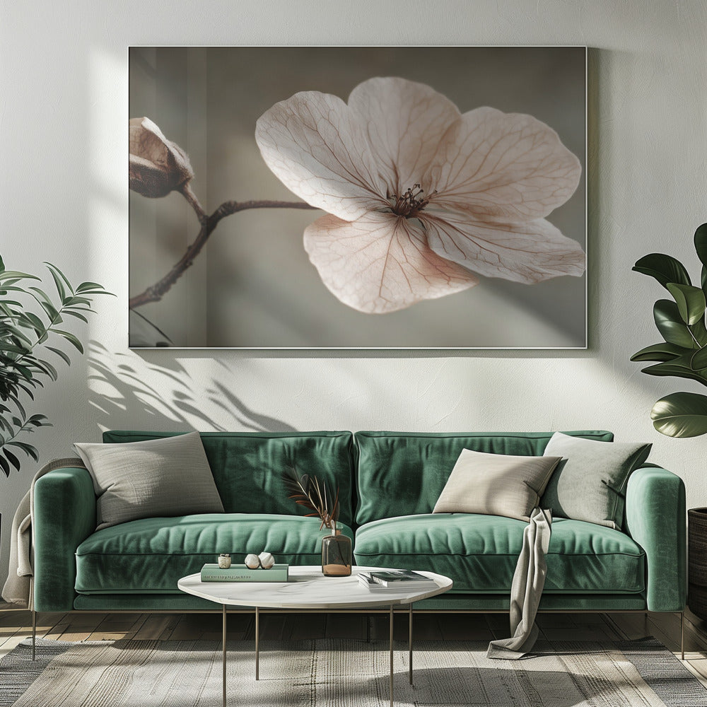 Zarte Blüte | Leinwand