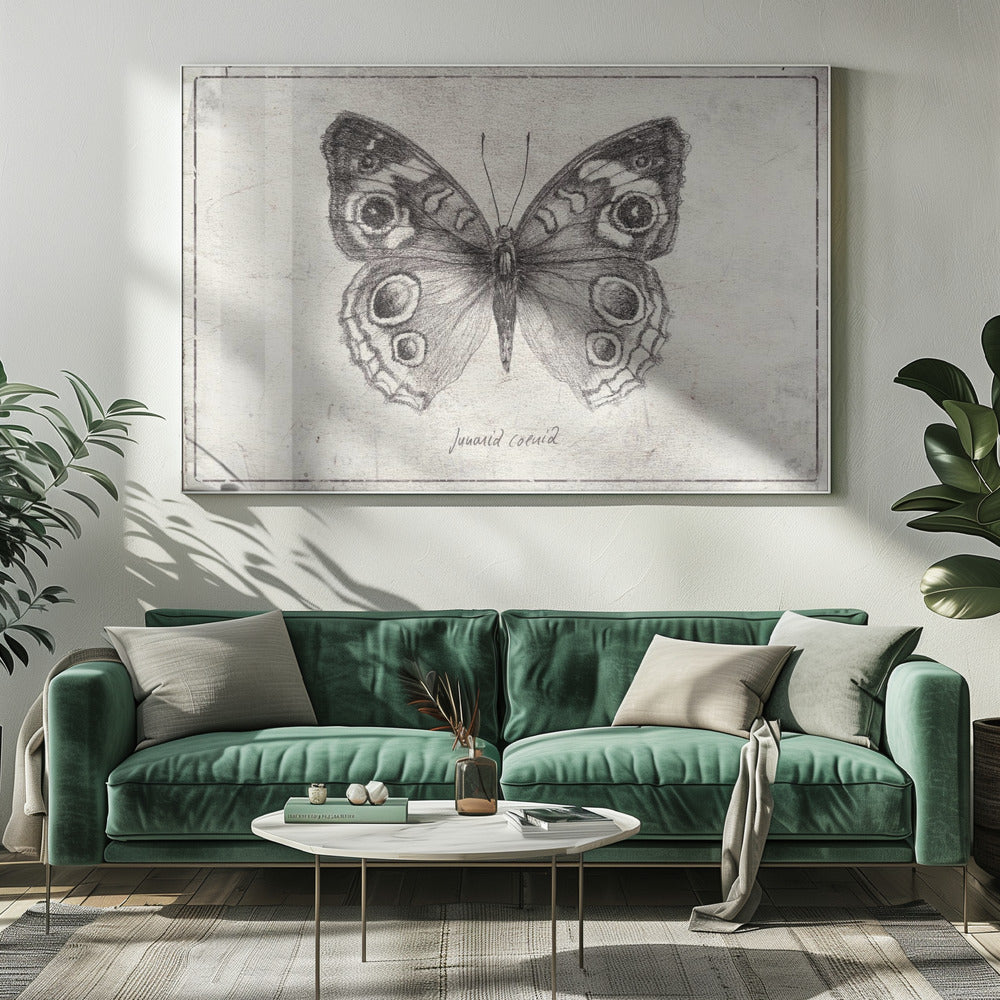Schmetterling präsentiert komplizierte Flügel | Leinwand