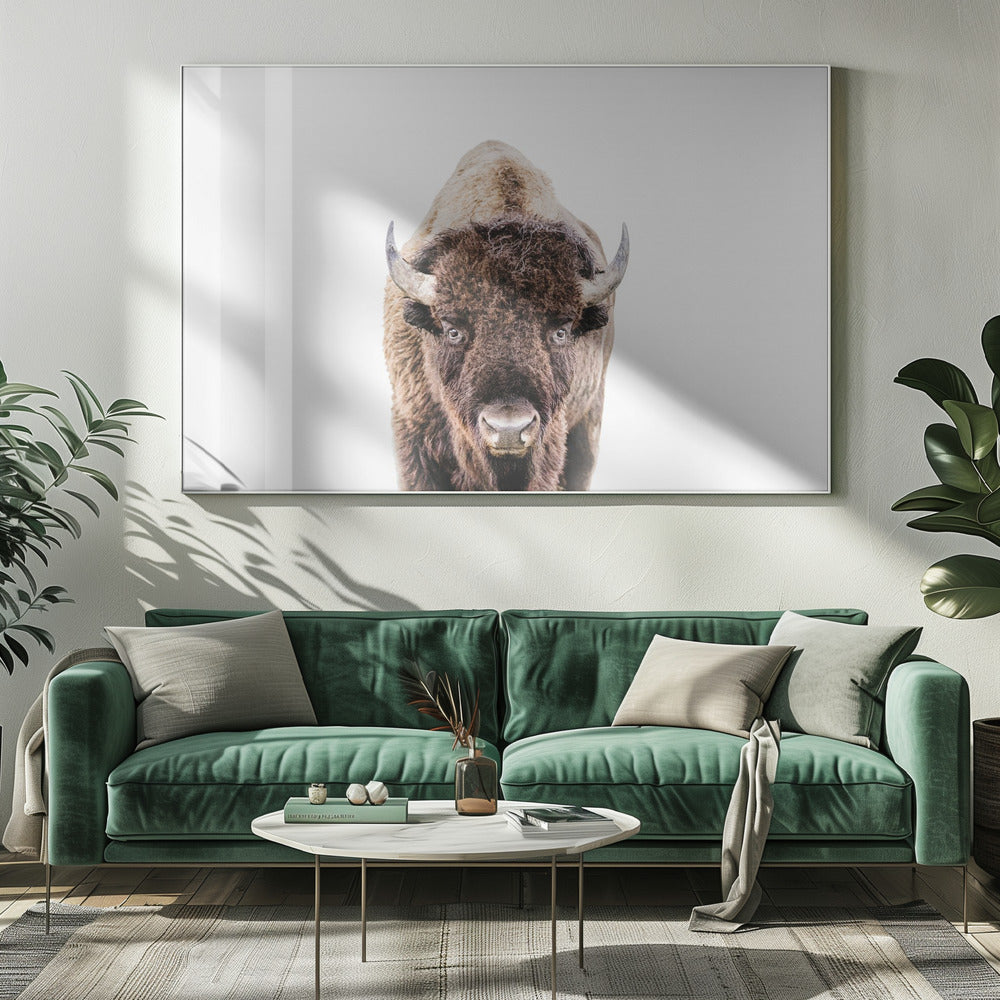 Bison | Leinwand
