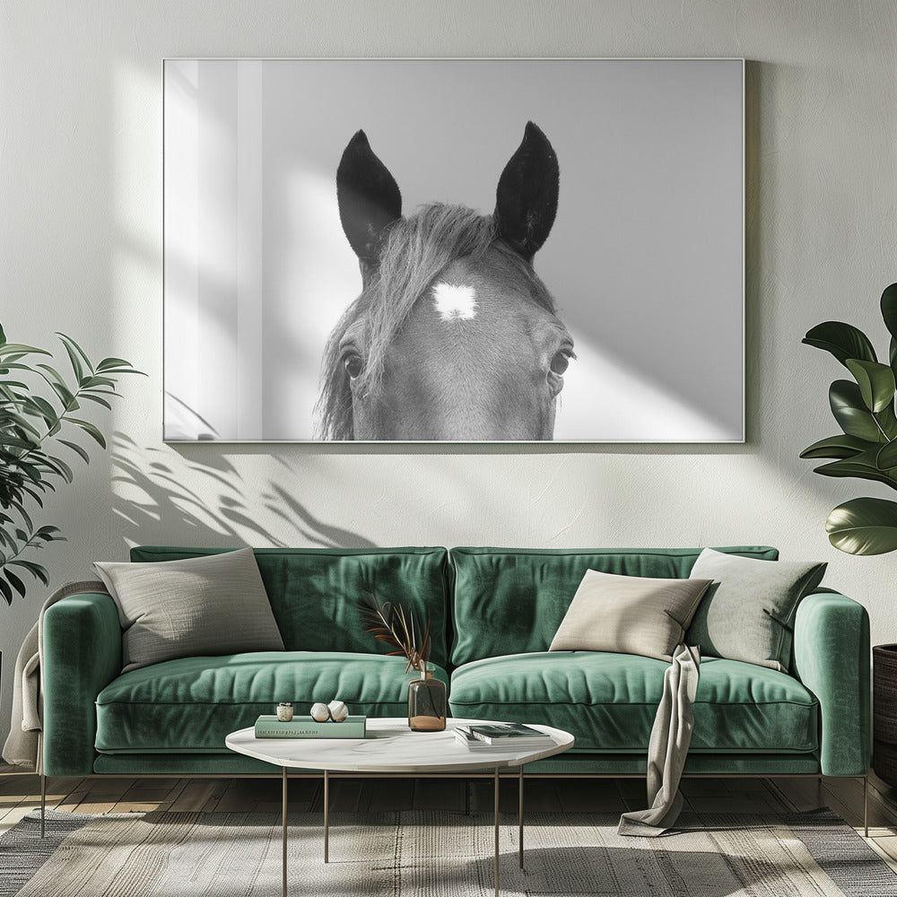 Guckendes Pferd | Leinwand