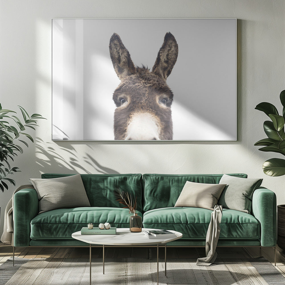 Guckender Esel | Leinwand