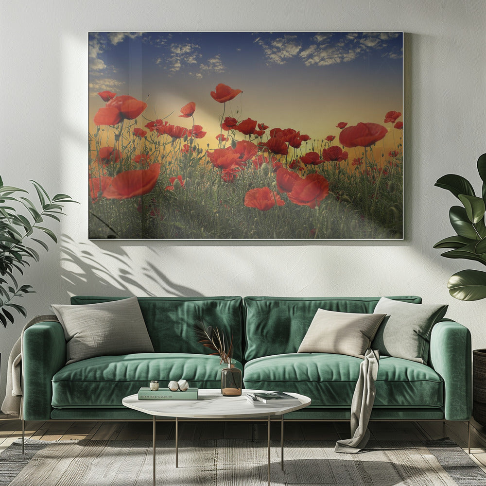 Mohnblumen | Leinwand