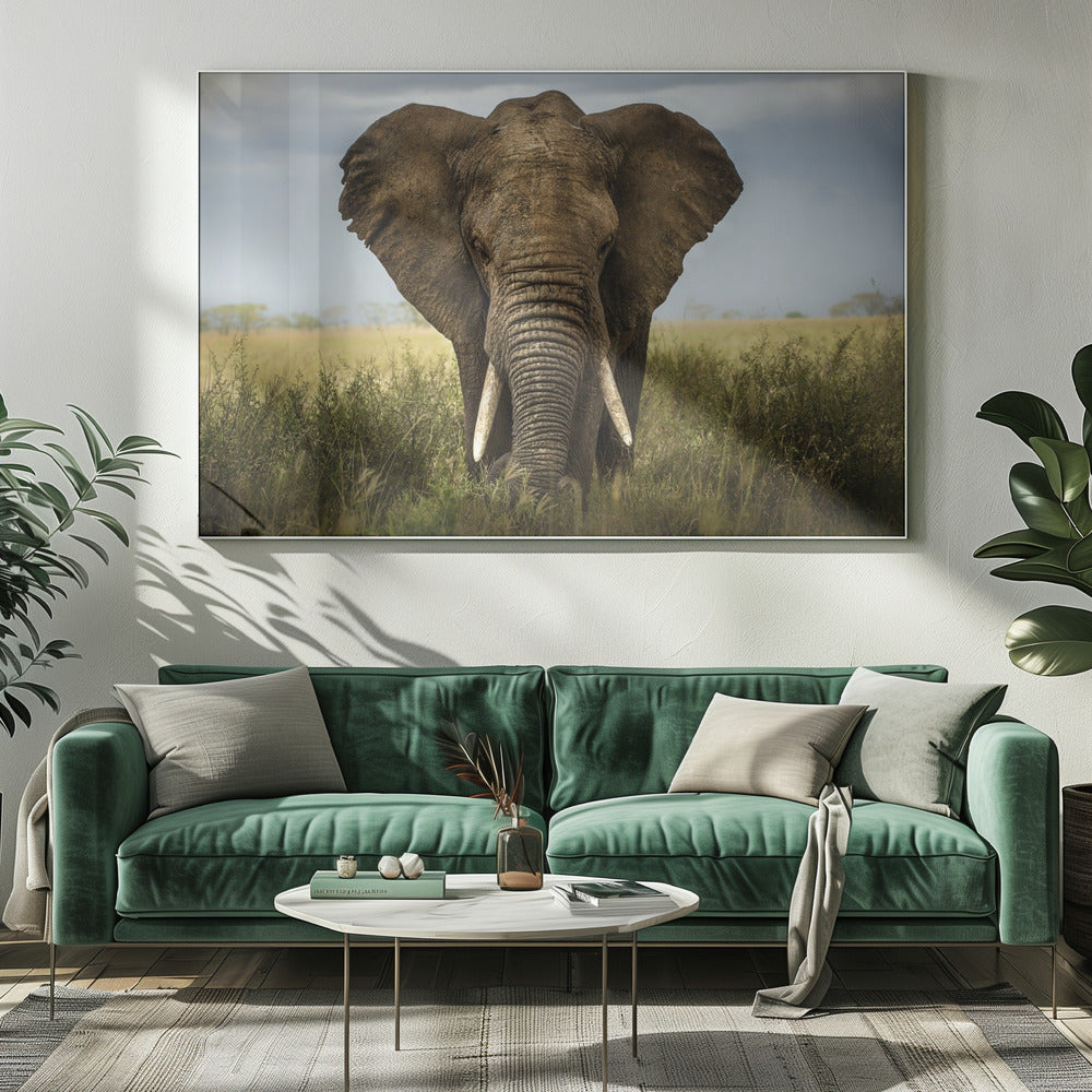 Begegnungen in der Serengeti | Leinwand