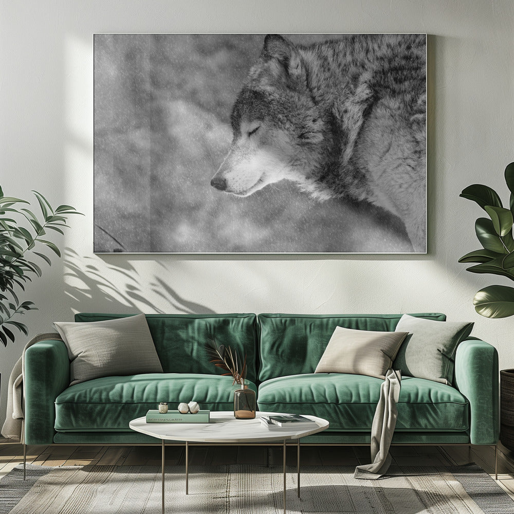 Lass es schneien | Leinwand