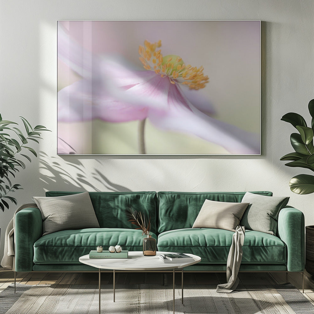 Japanische Anemone | Leinwand
