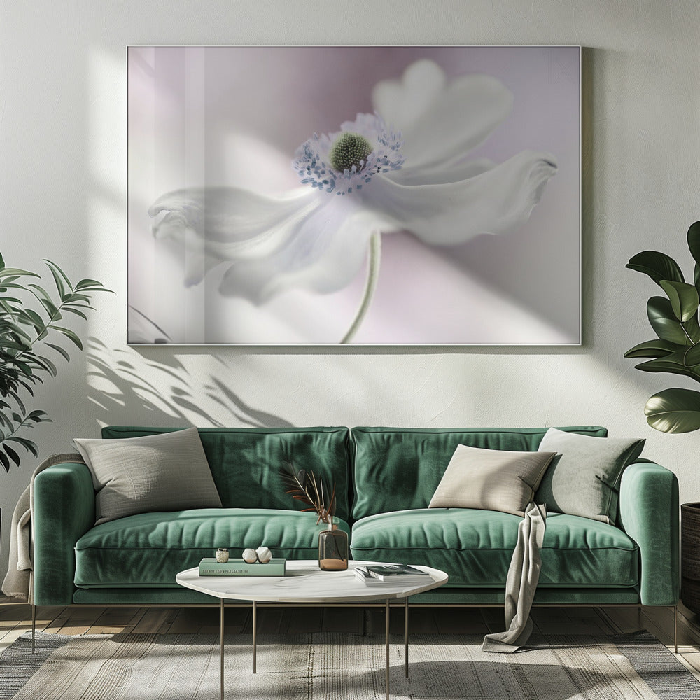 Anemonenbrise | Leinwand