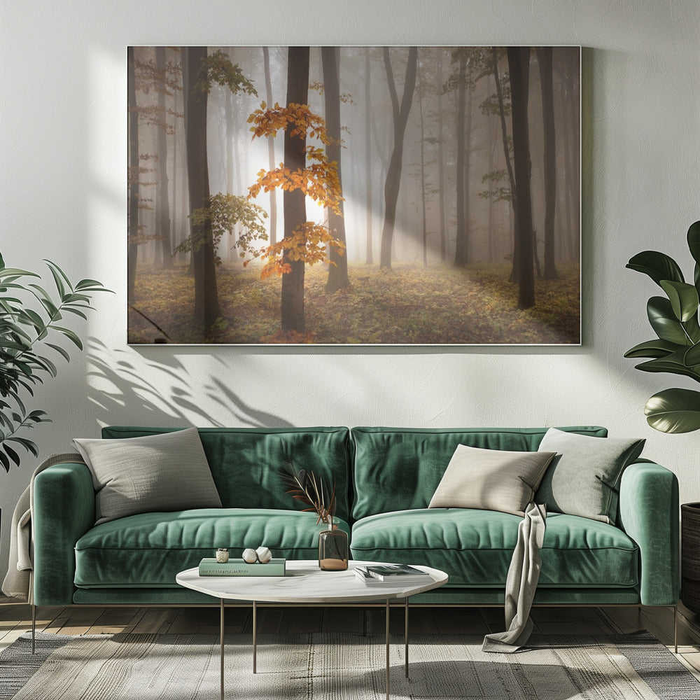 Im Novemberlicht | Leinwand