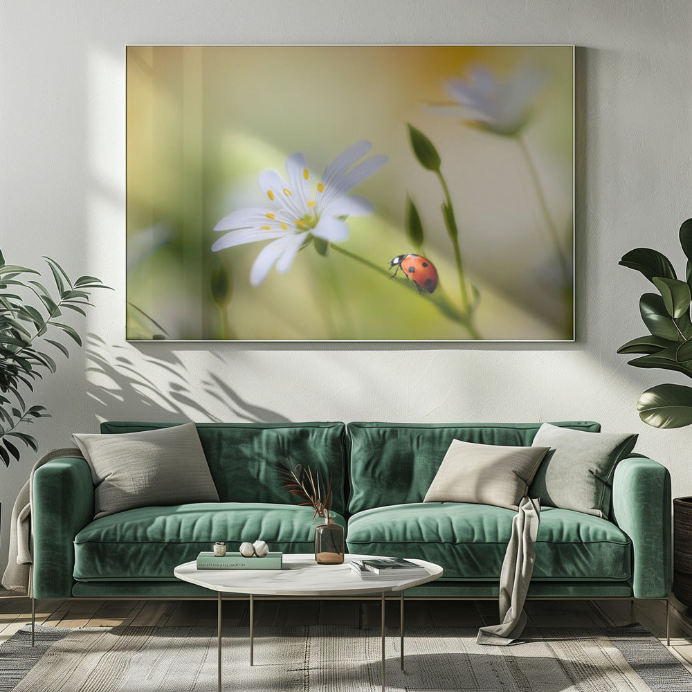 Sommerschönheiten | Leinwand