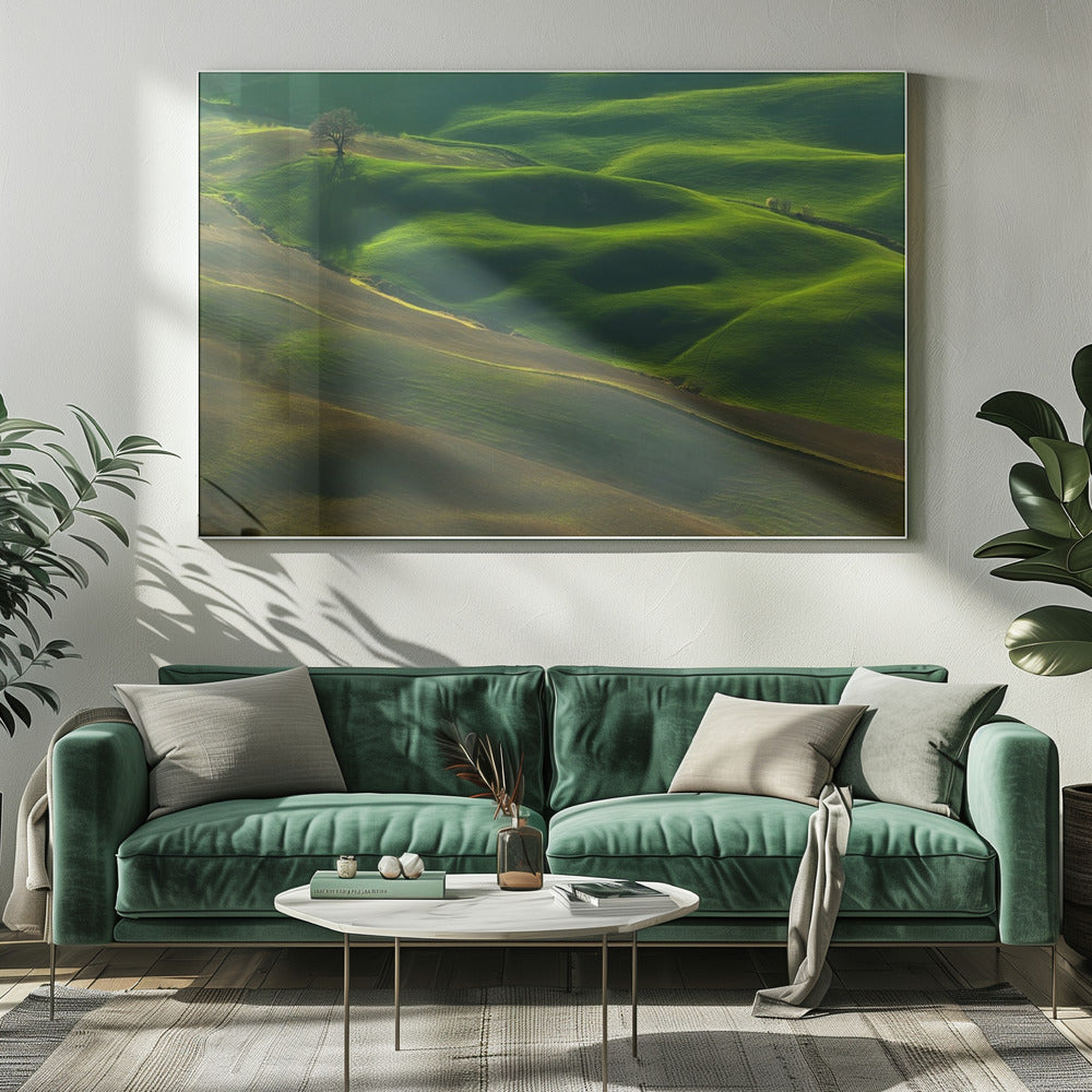 Oak... | Canvas