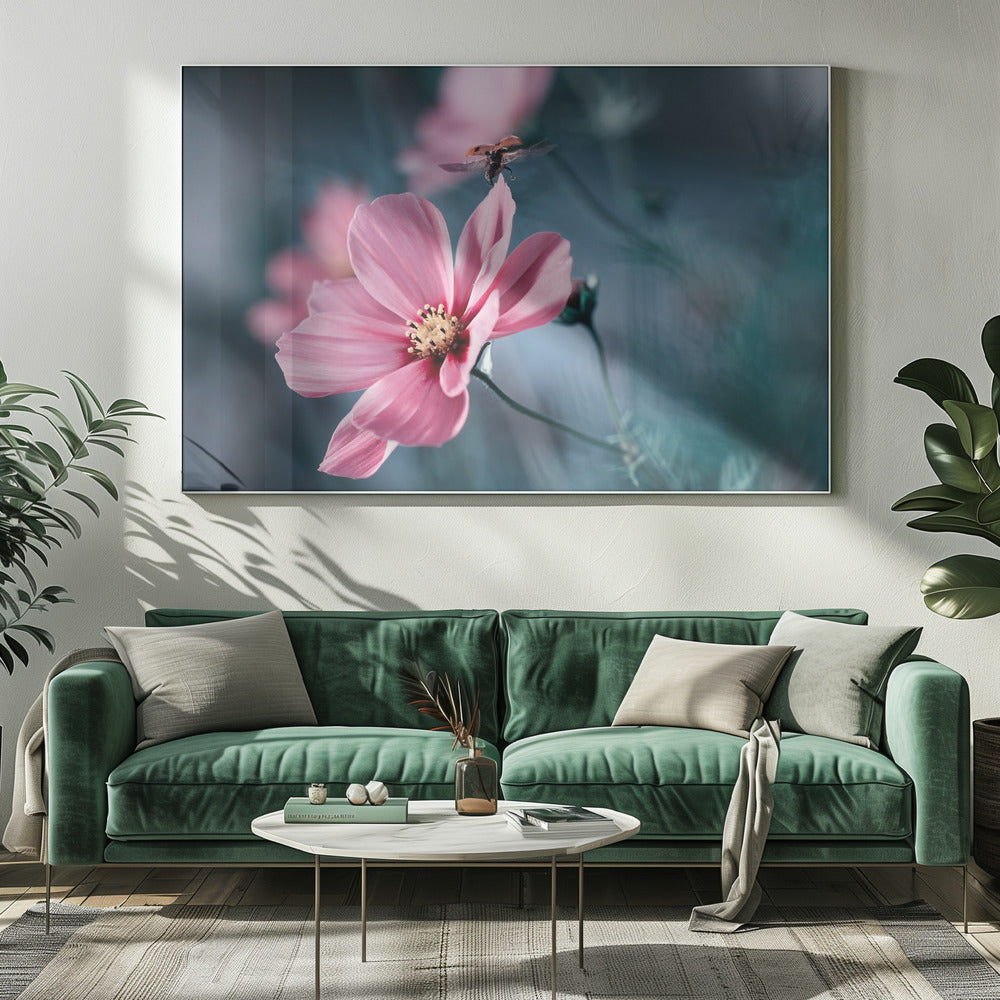 Clair de Terre | Leinwand