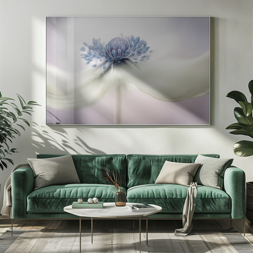 Anemone | Leinwand