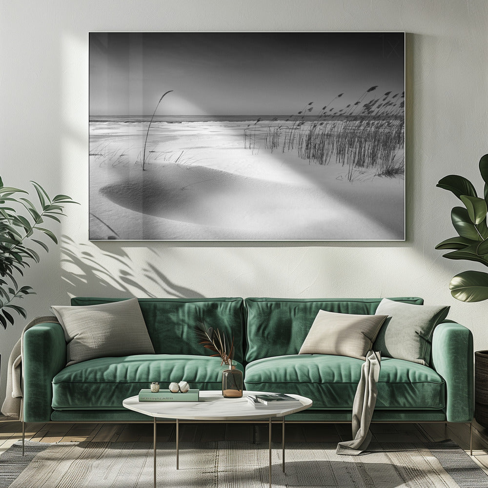 Orchestra | Canvas