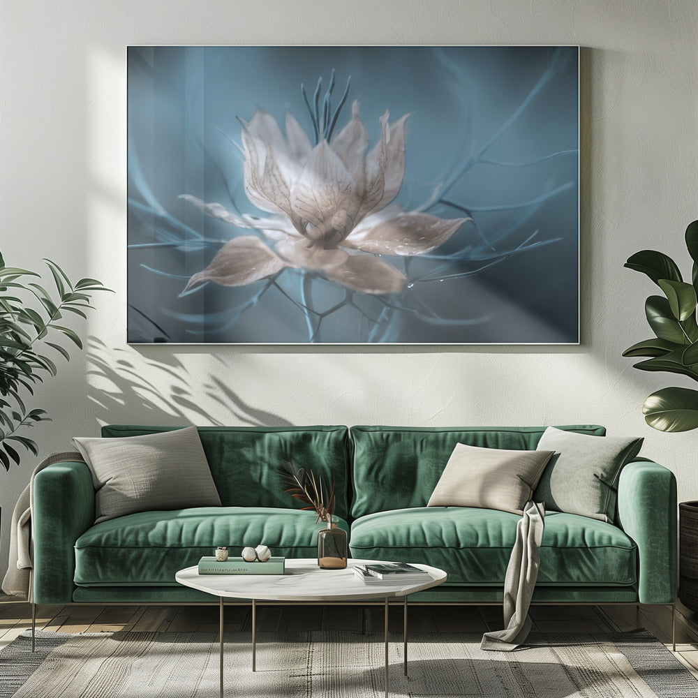 *Nigella* | Leinwand