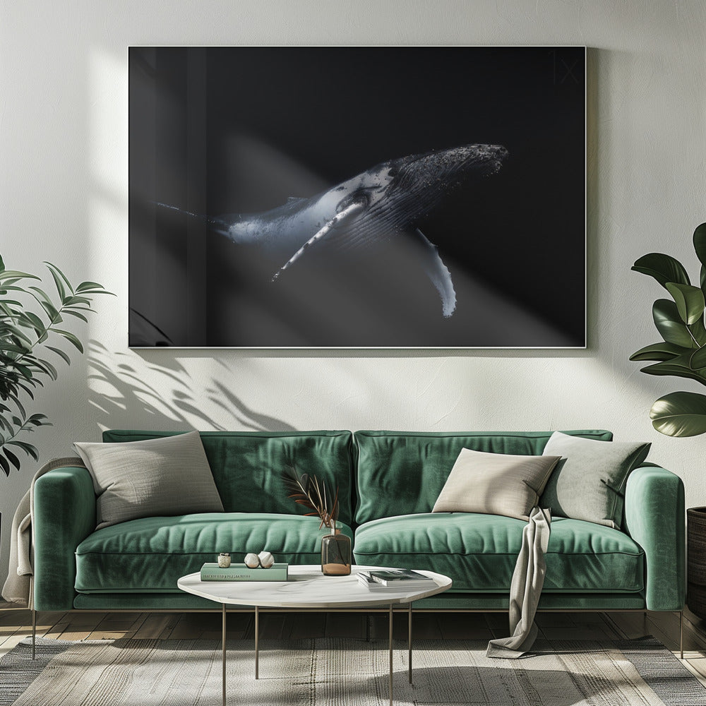Schwarz & Wal | Leinwand