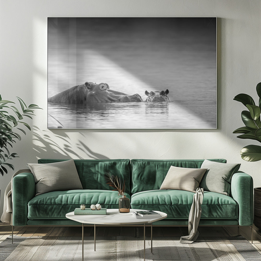 Eye level | Canvas