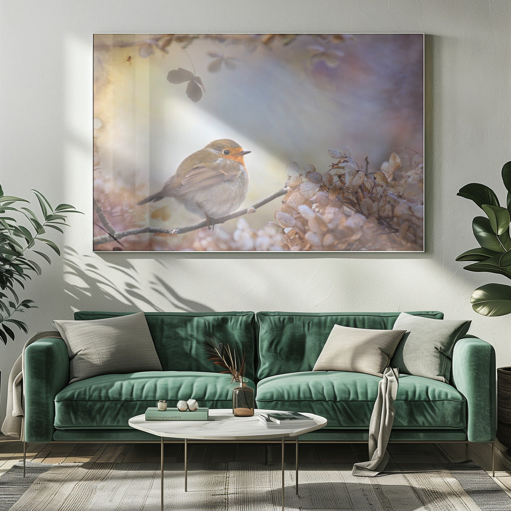 Robin über Träume | Leinwand