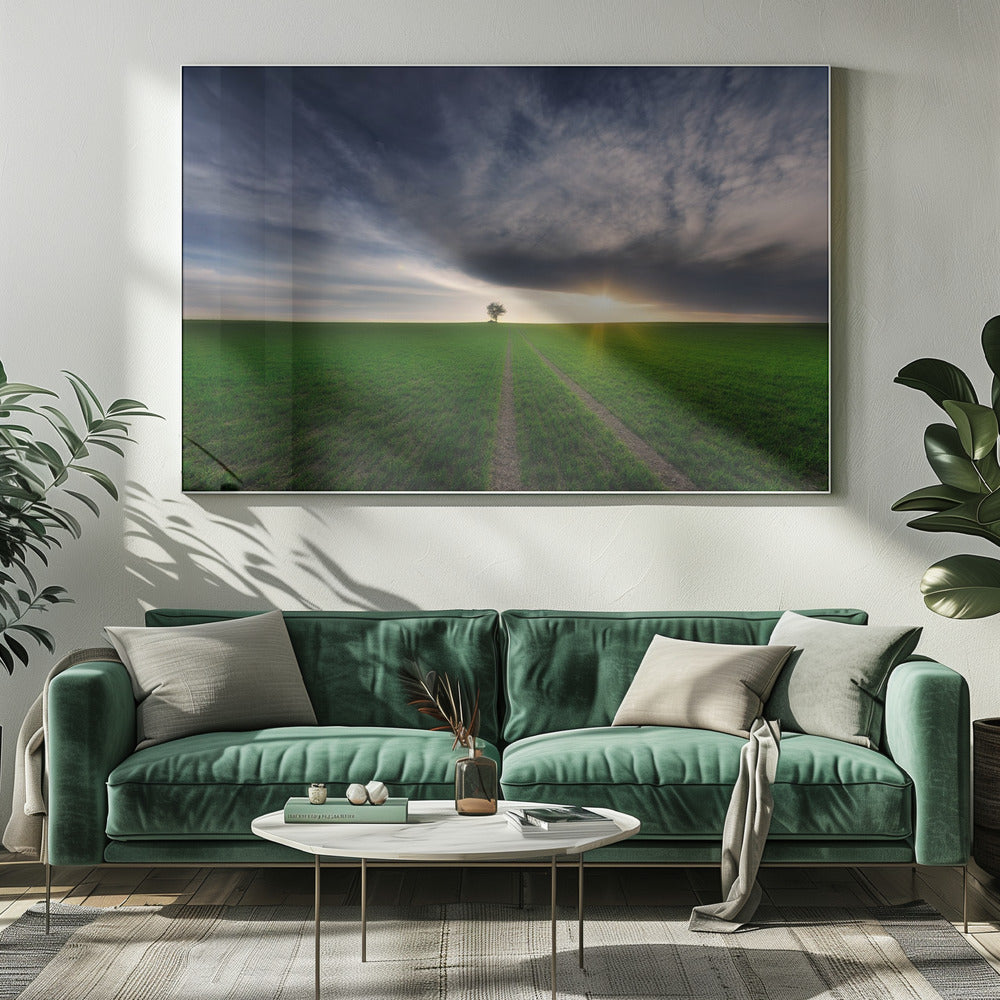 Einzelgänger in der Sonne | Leinwand