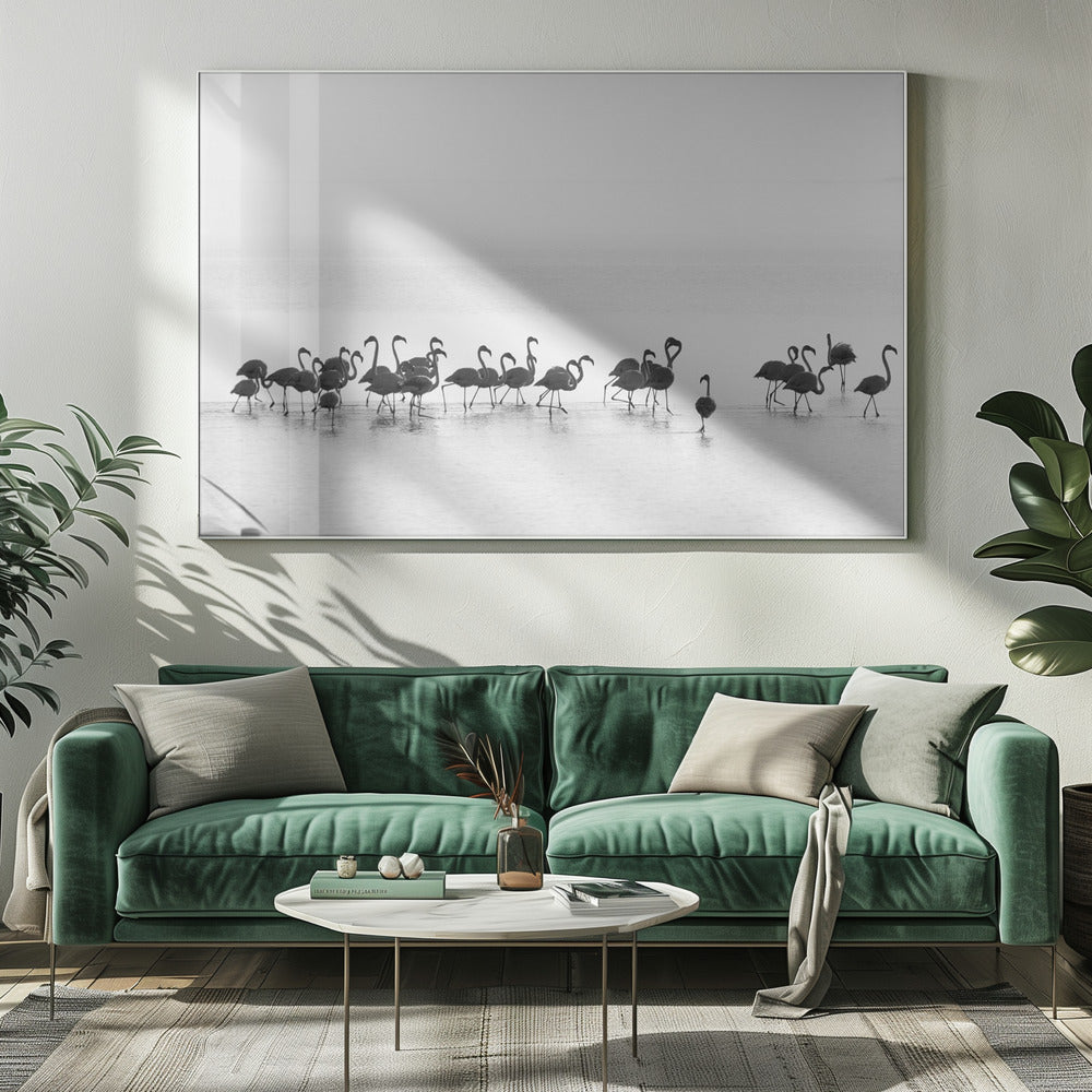 Flamingos | Leinwand