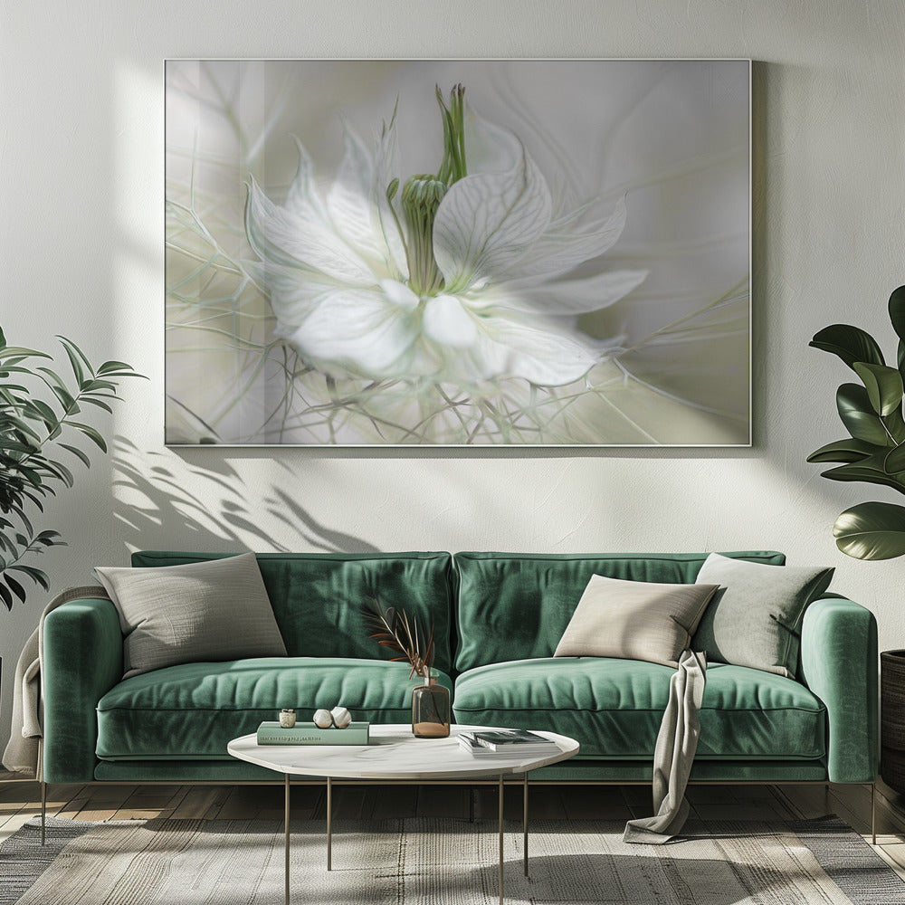 Nigella | Leinwand