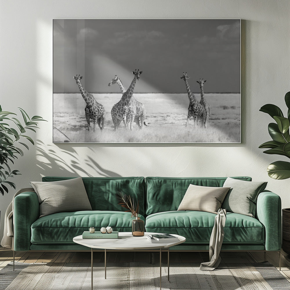 Schau Mädchen Seltsame Tiere | Leinwand