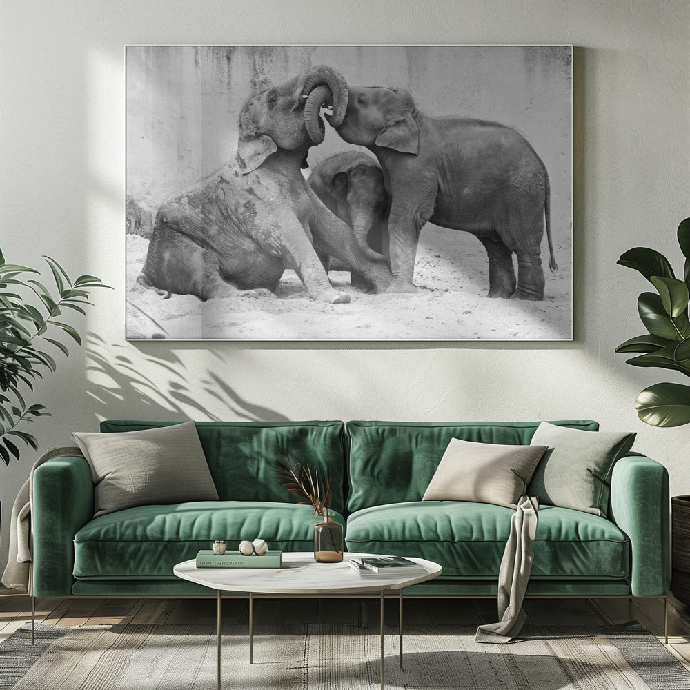 MÉNAGE À TROIS | Leinwand