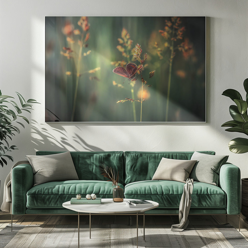 Letztes Licht | Leinwand