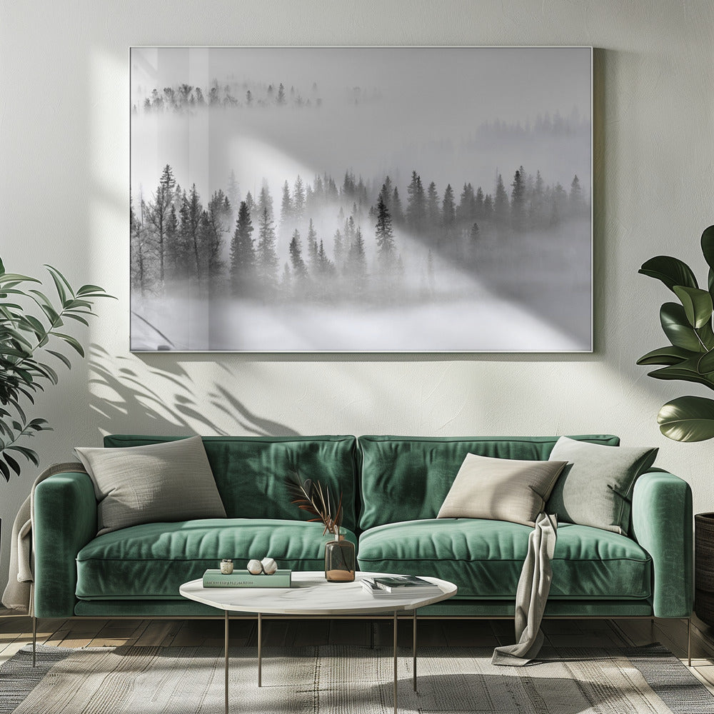 Nebliger Wald | Leinwand