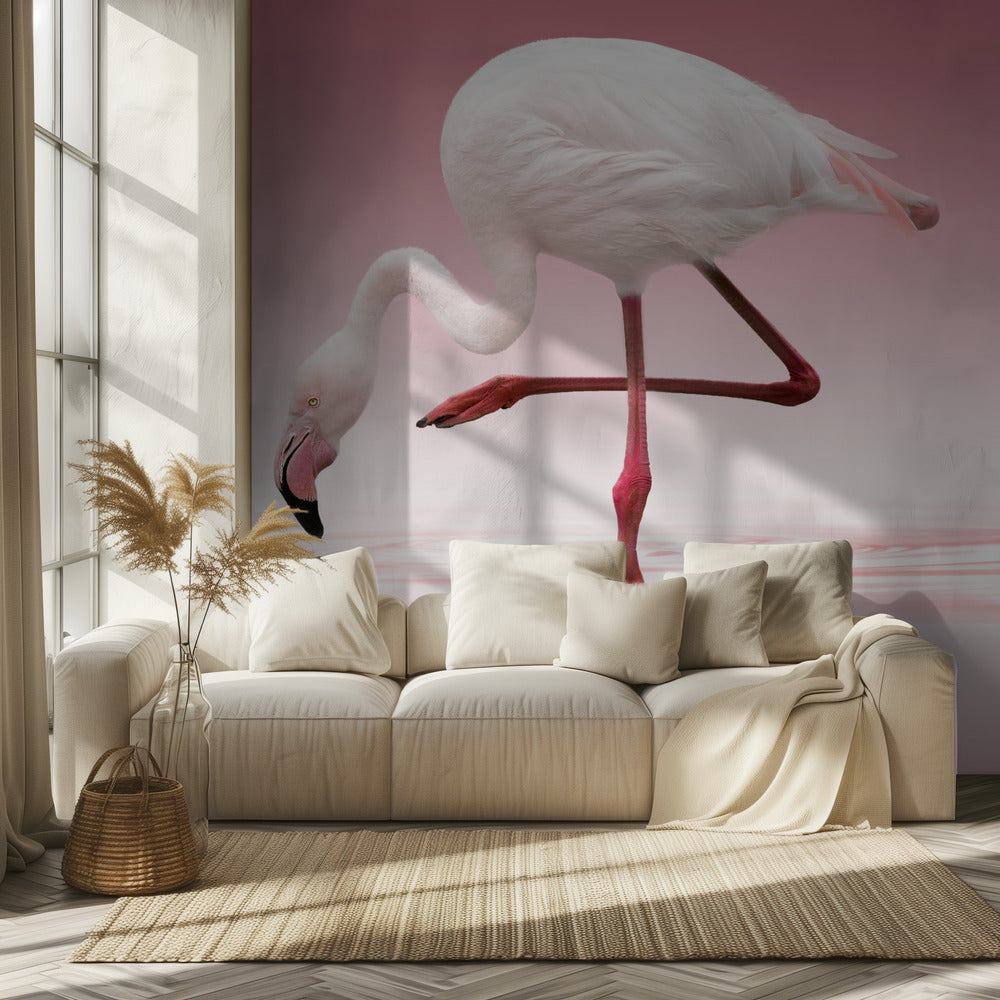 Flamingo | Tapete