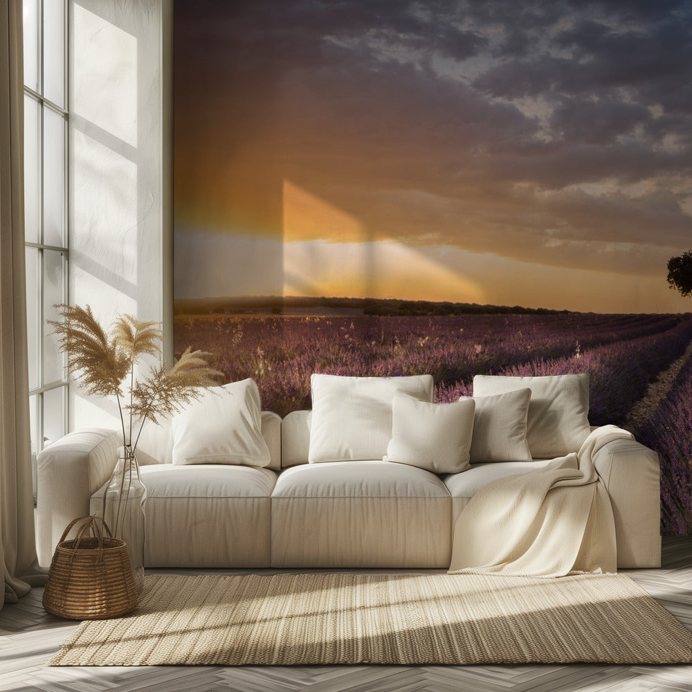 DESTINATION LAVENDER | Tapete