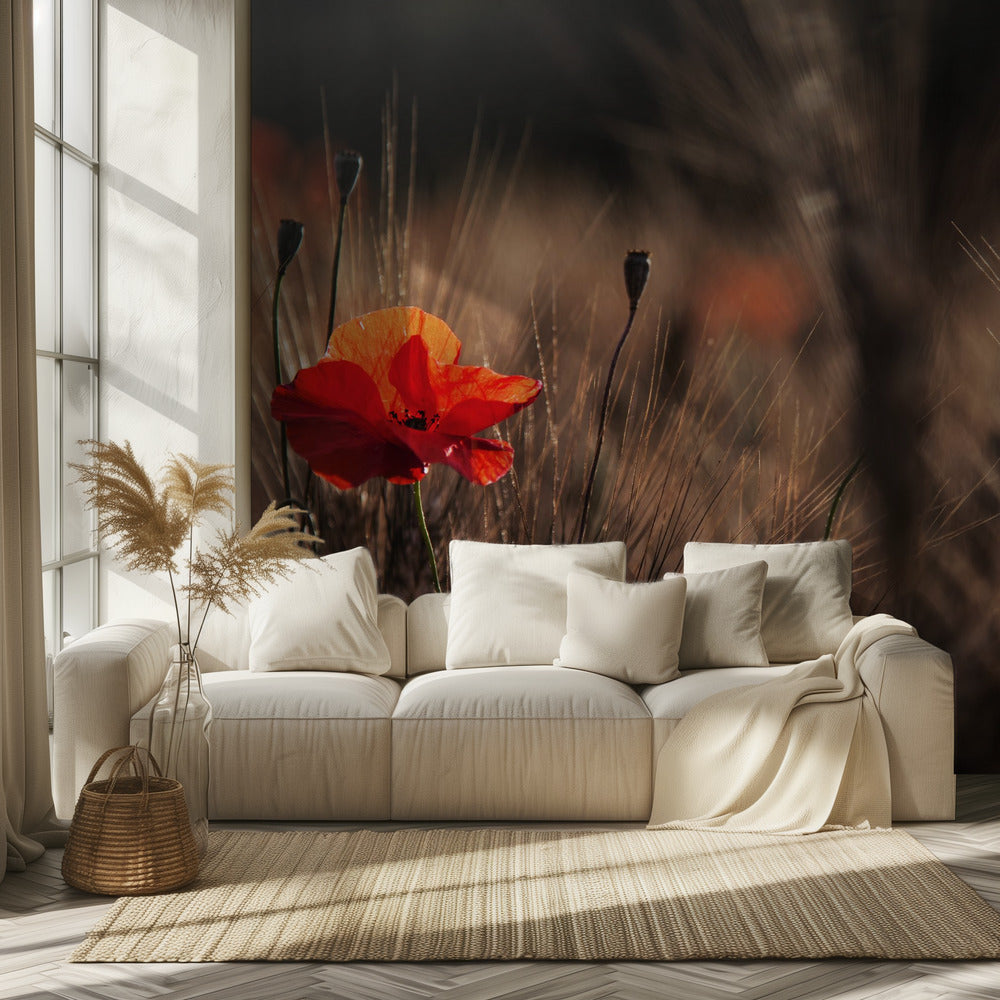 Mohn mit Mais | Tapete