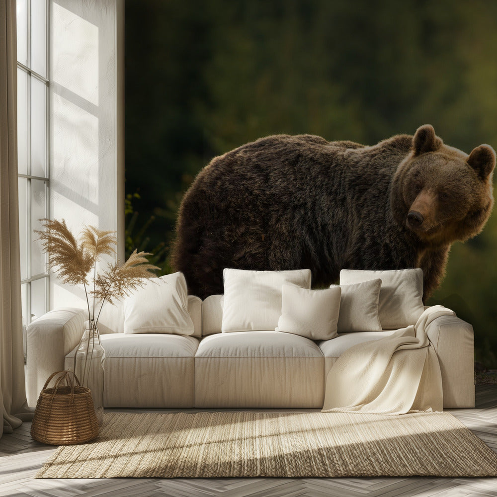 Von hinten beleuchteter Bär | Tapete