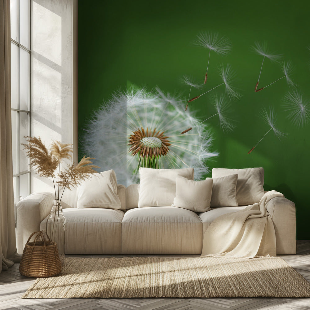 Pusteblume | Tapete