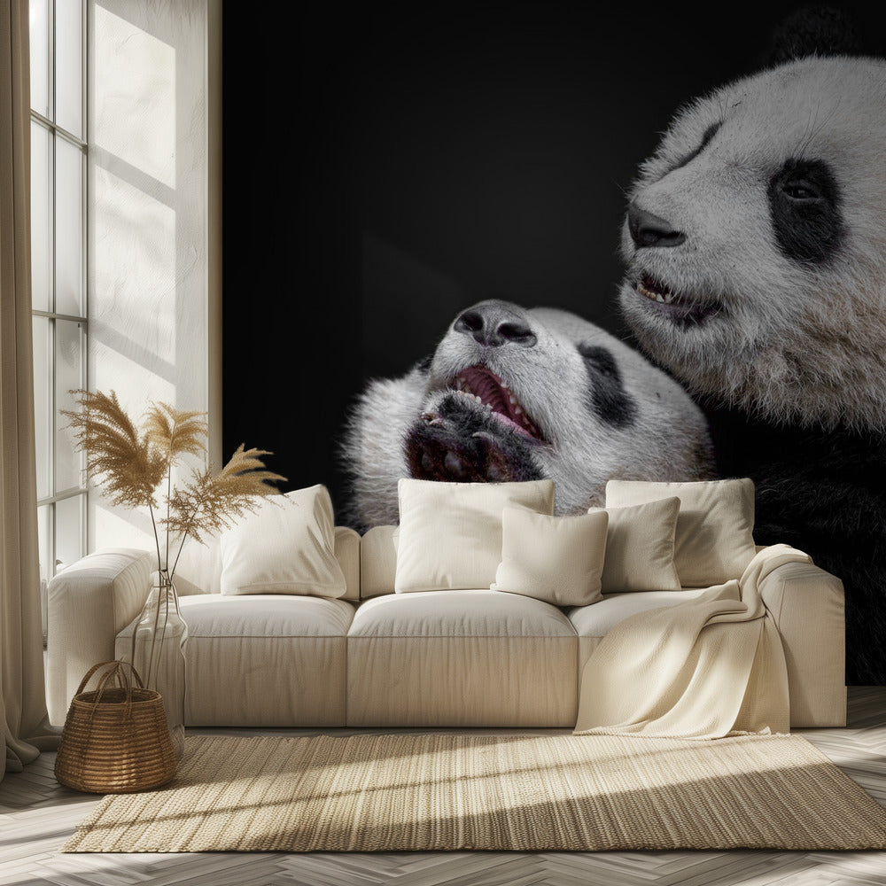 Pandas | Tapete