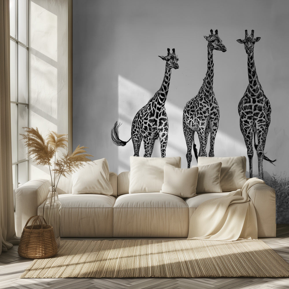 Giraffen in der Mara-Ebene | Hintergrundbild