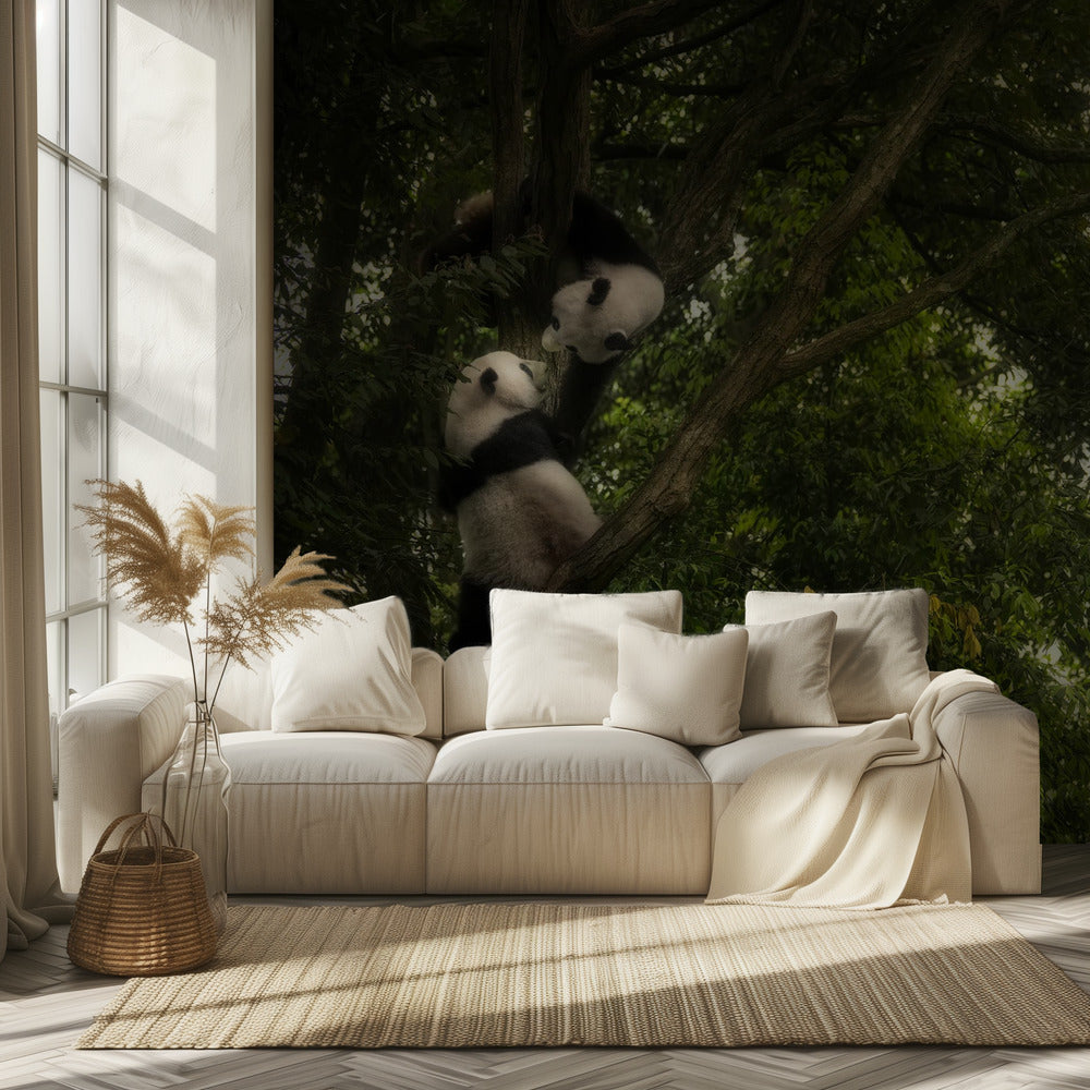 Panda | Tapete
