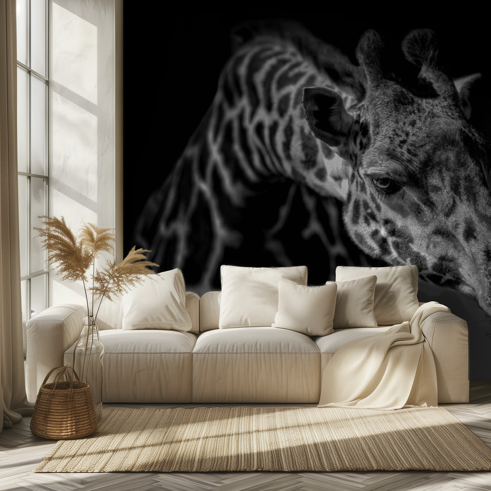 Giraffe | Tapete