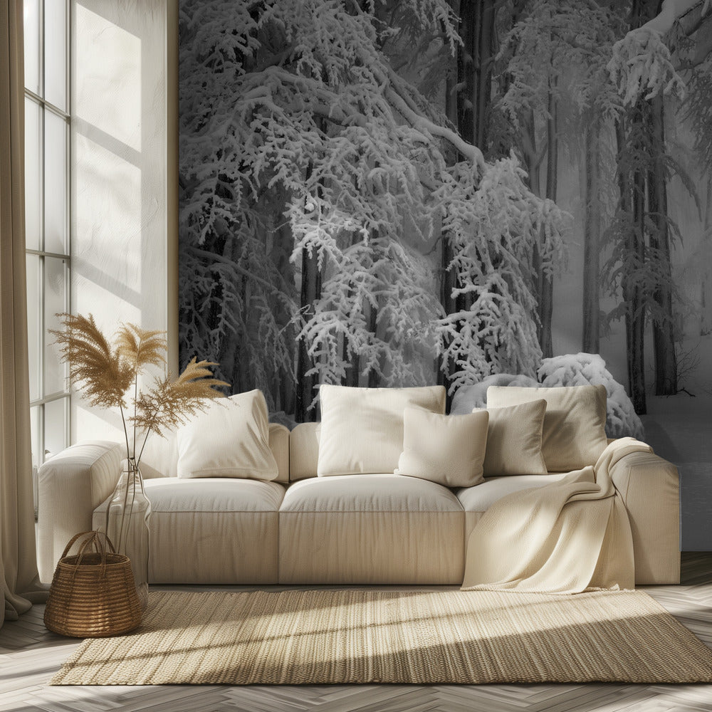 Perfekter Winter | Hintergrundbild