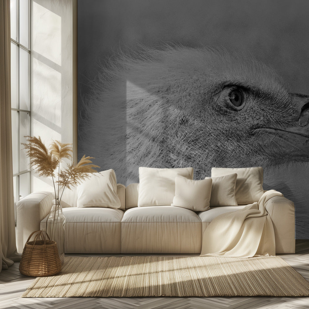 Weißkopfseeadler | Tapete