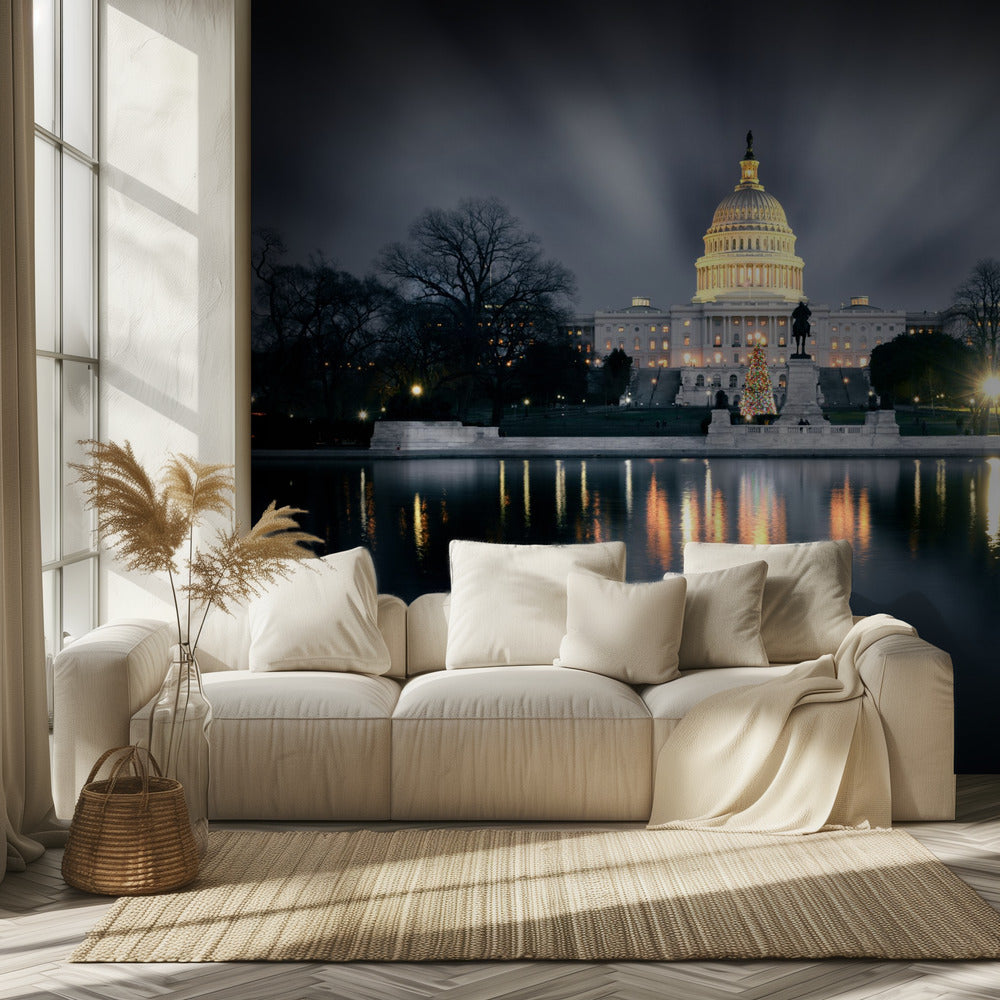 Capitol Hill | Tapete