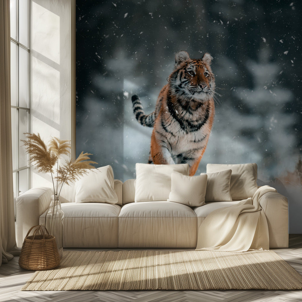 Der sibirische Tiger | Hintergrundbild