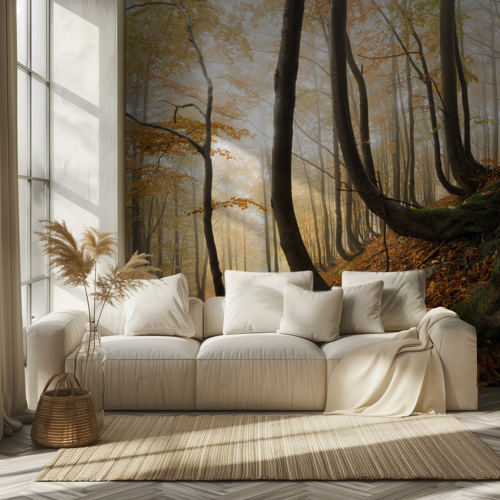 Mystischer Herbstwald | Tapete