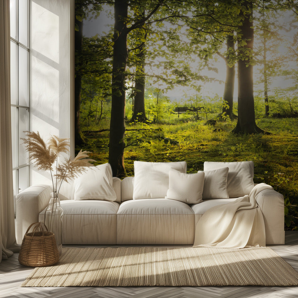 Sommer im Wald | Hintergrundbild