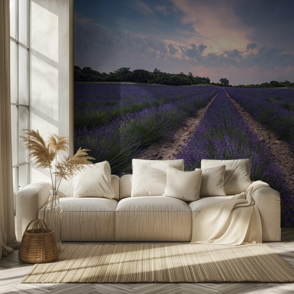 Blauer Lavendel | Tapete