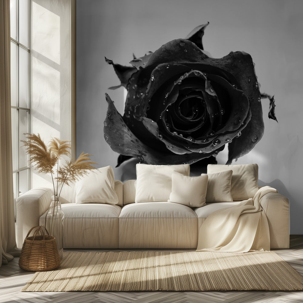 Rose Noir | Tapete