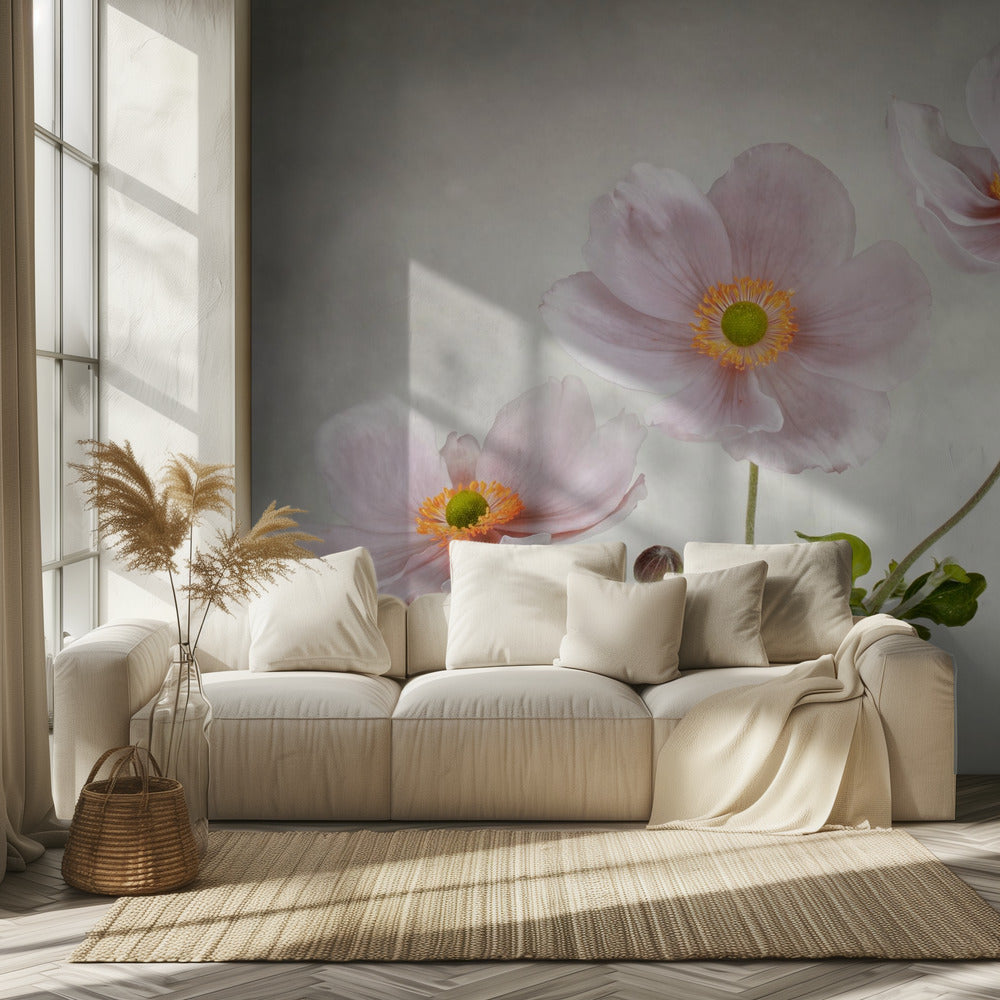 Anemonen | Tapete