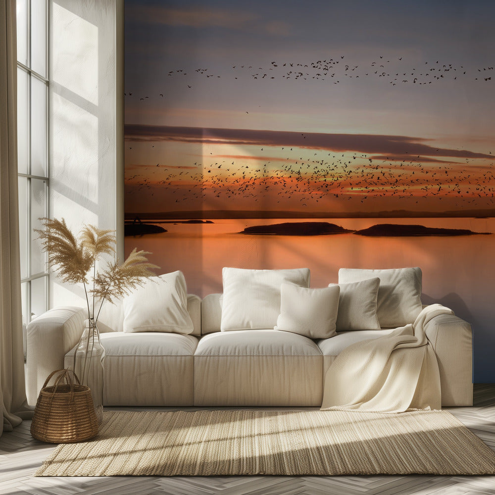 bei Sonnenuntergang | Hintergrund